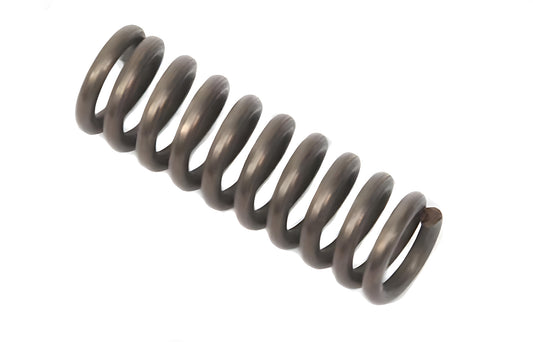 SP041-Idler spring_PhotoGrid